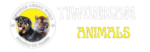 tiwonisam 1