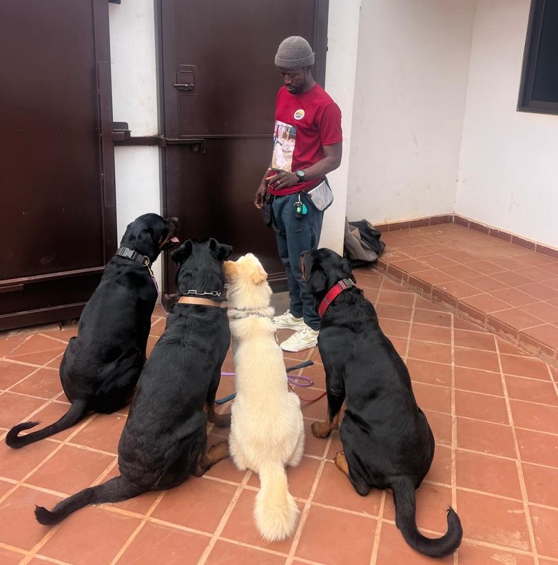 daycare